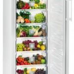 однокамерный холодильник без морозилки