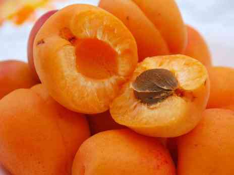 что можно приготовить из абрикосов