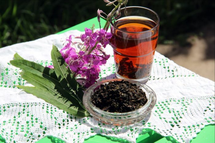Иван-чай, заваренный в стакане, ферментированный в чашке и свежее соцветие на белой скатерти